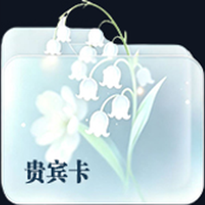 贵宾卡